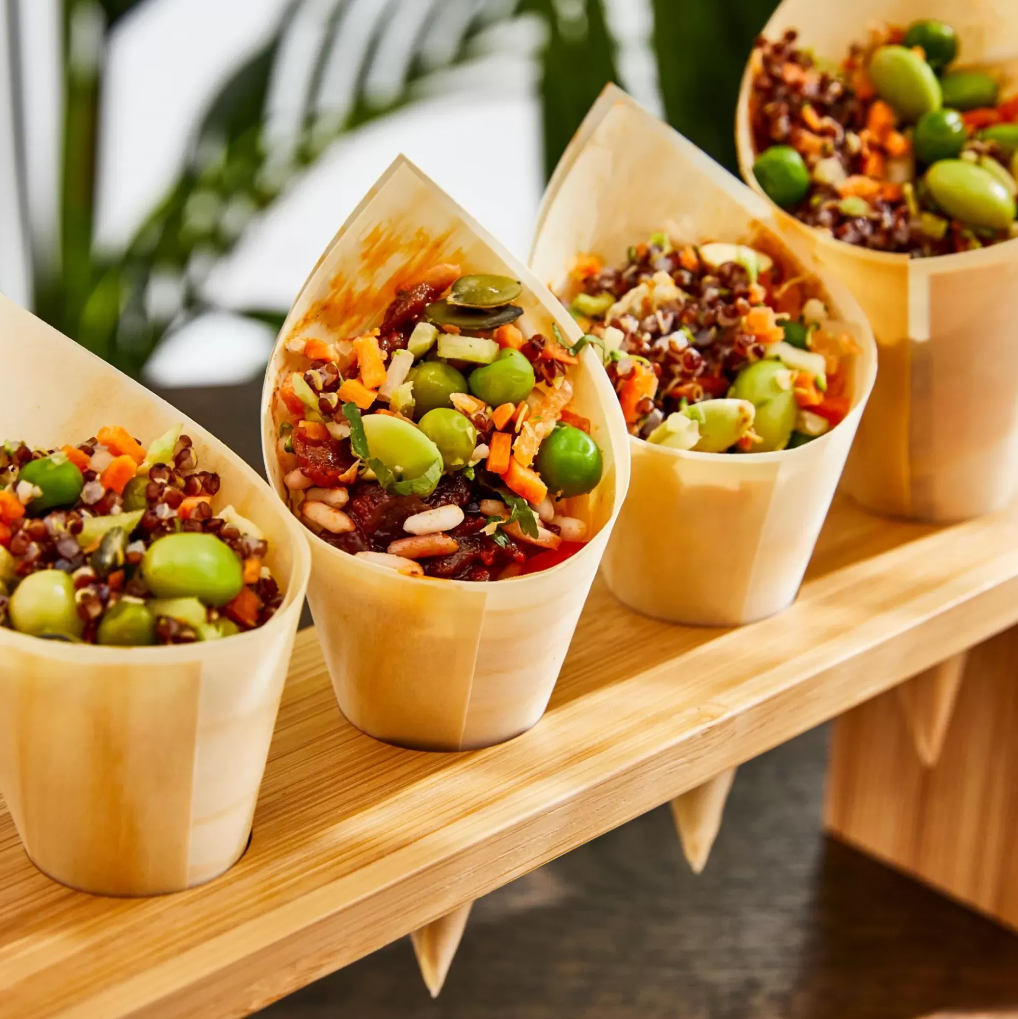 CASA Apero Eco Cucuruchos Juego De 20 Natural Cheap