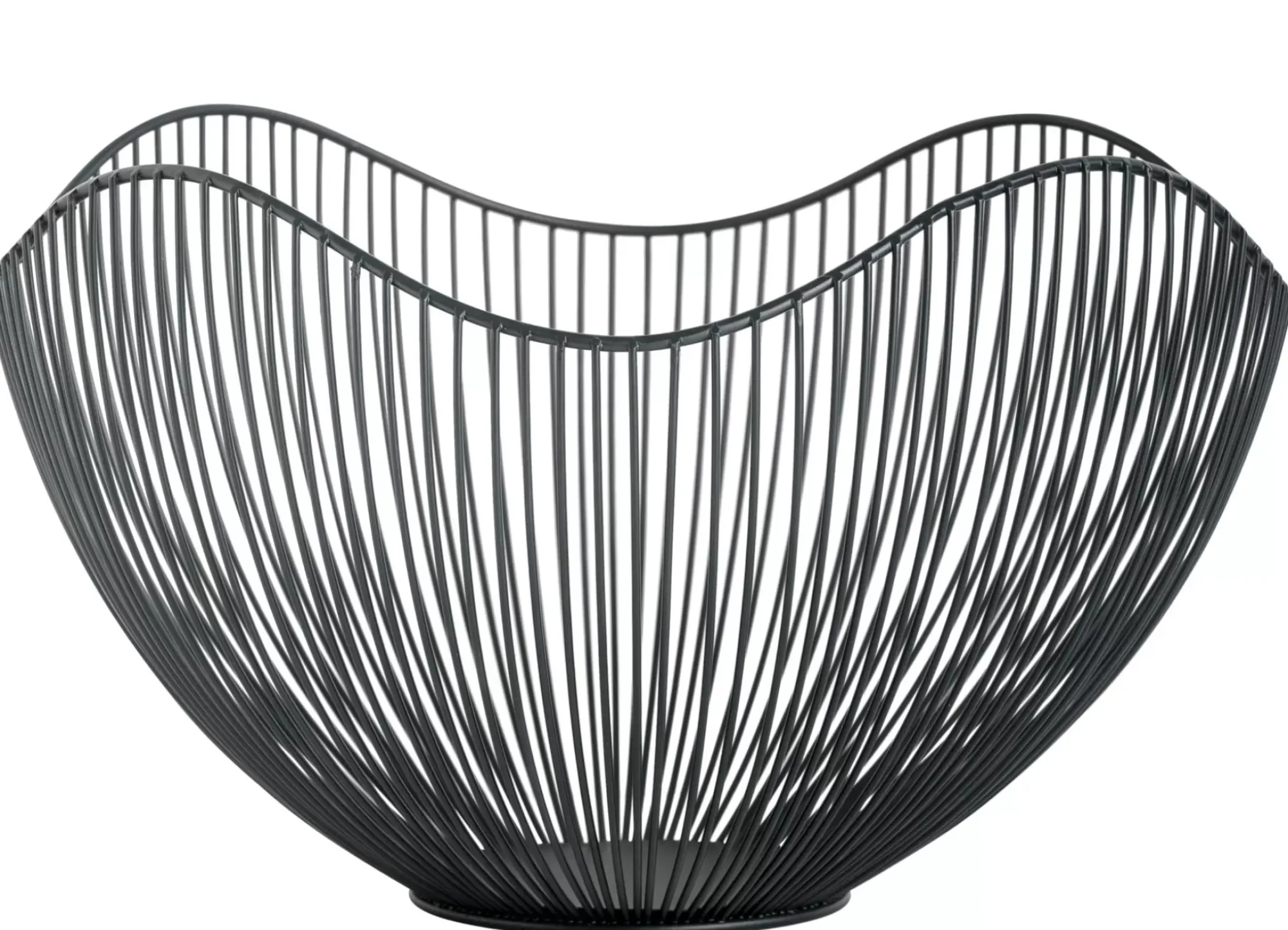 CASA Aster Frutero Negro Store