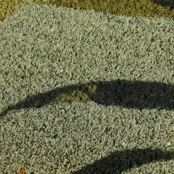 CASA Bambou Felpudo Verde Discount