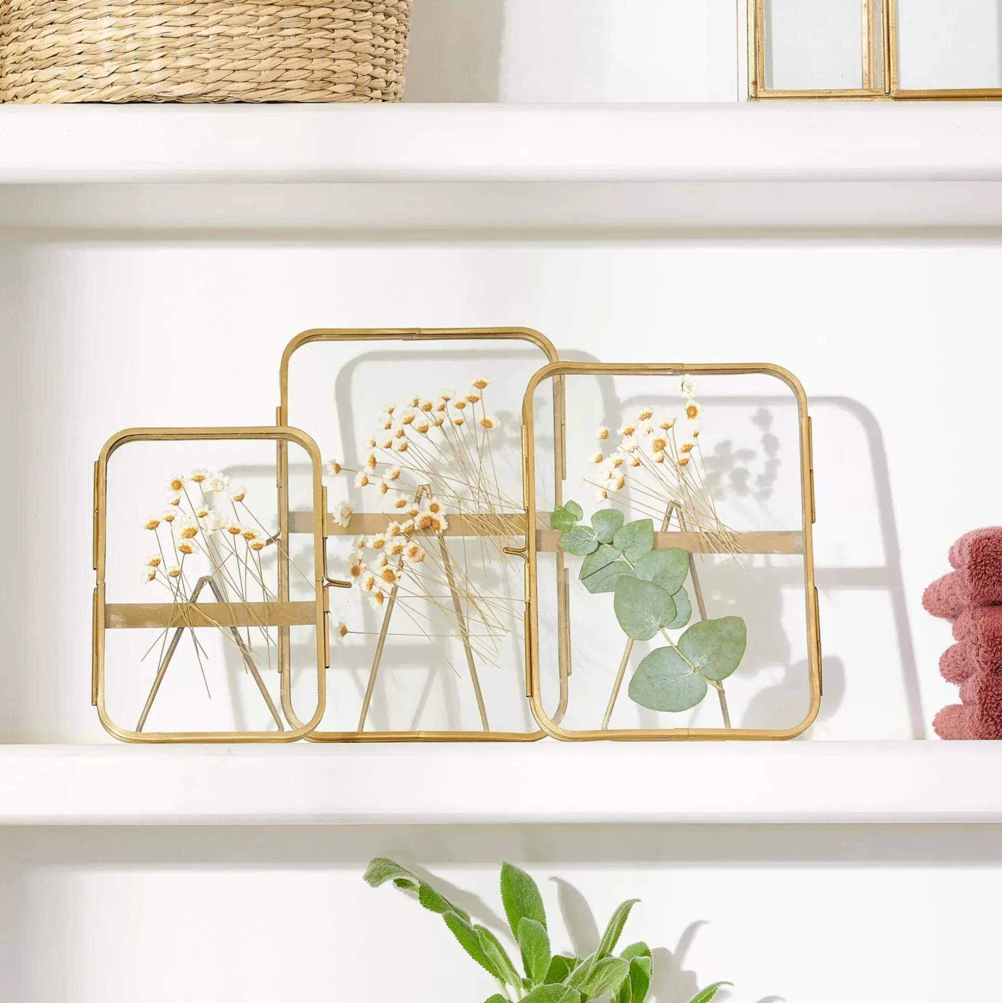 CASA Brass Marco De Foto Dorado Outlet