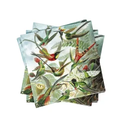 CASA Colibri Paquete De 20 Servilletas Multicolor Cheap