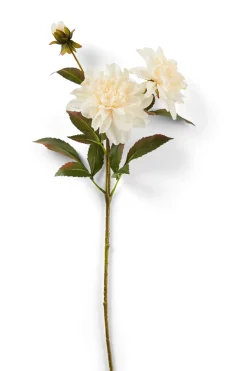 CASA Dahlia Rama De Flores Crema New