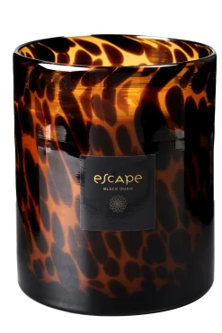 CASA Escape Black Oudh Negro, Marron, Ocre Hot