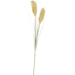 CASA Grass Cana Con Pluma Verde Outlet