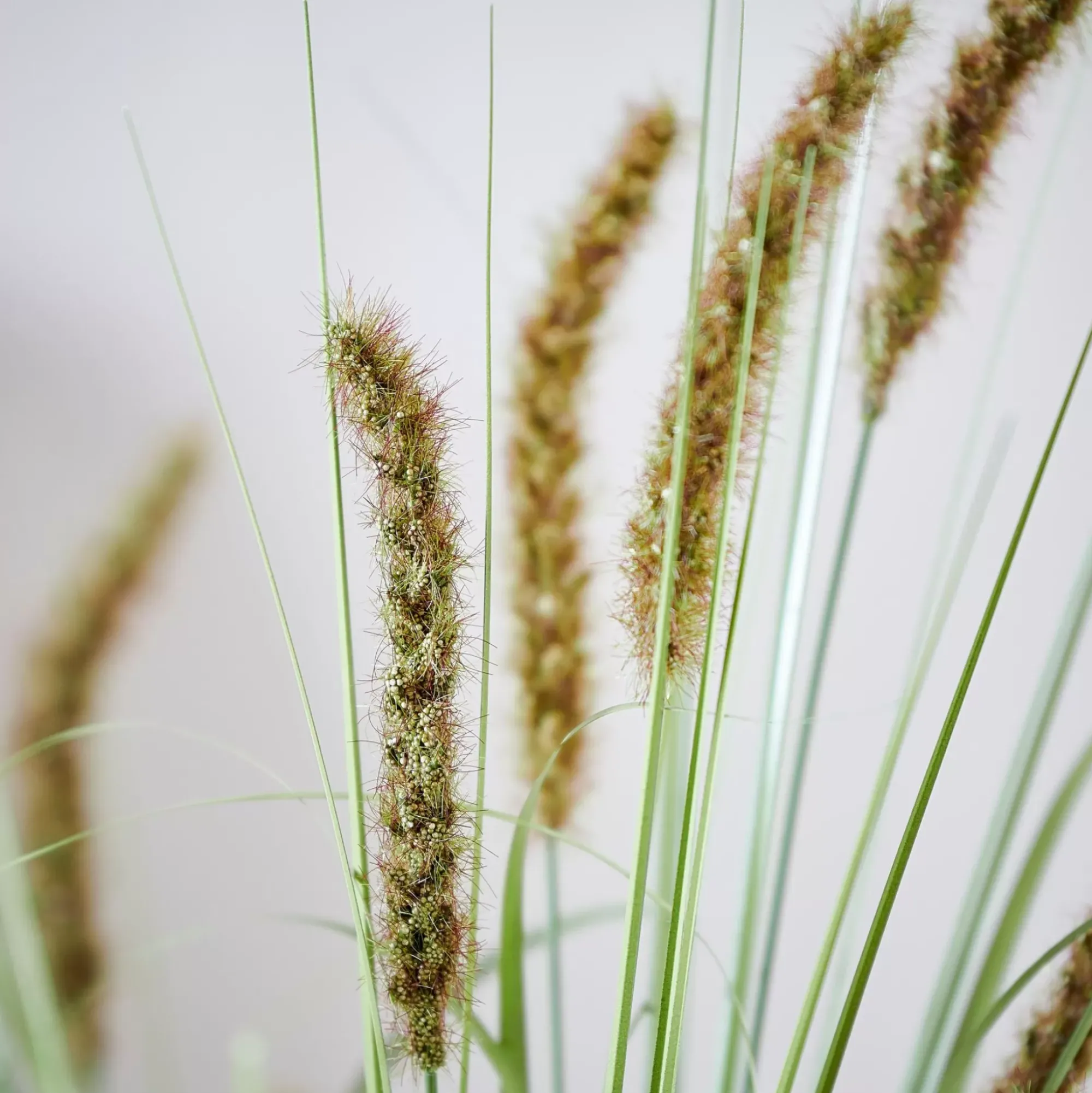 CASA Grass Tallo De Carrizo Artificial Verde Outlet