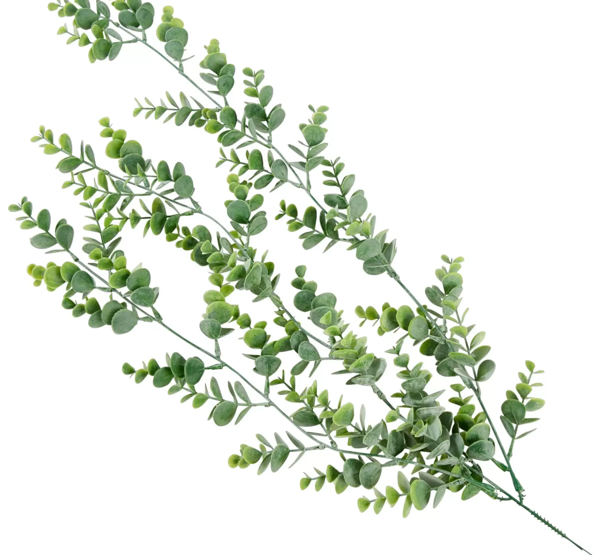 CASA Green Rama Sintetico Verde Best Sale