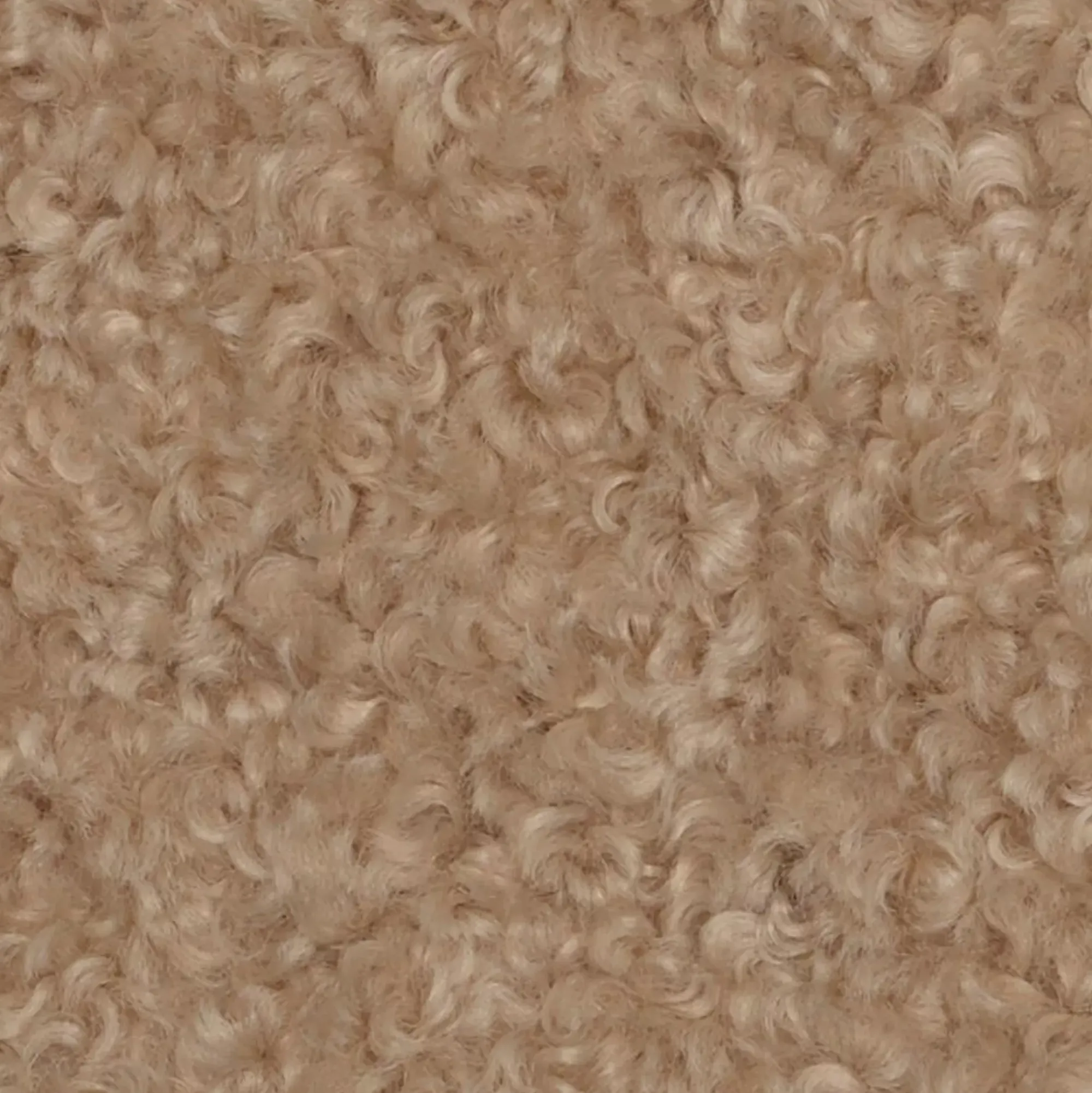 CASA Hugo Cojin Beis Fashion