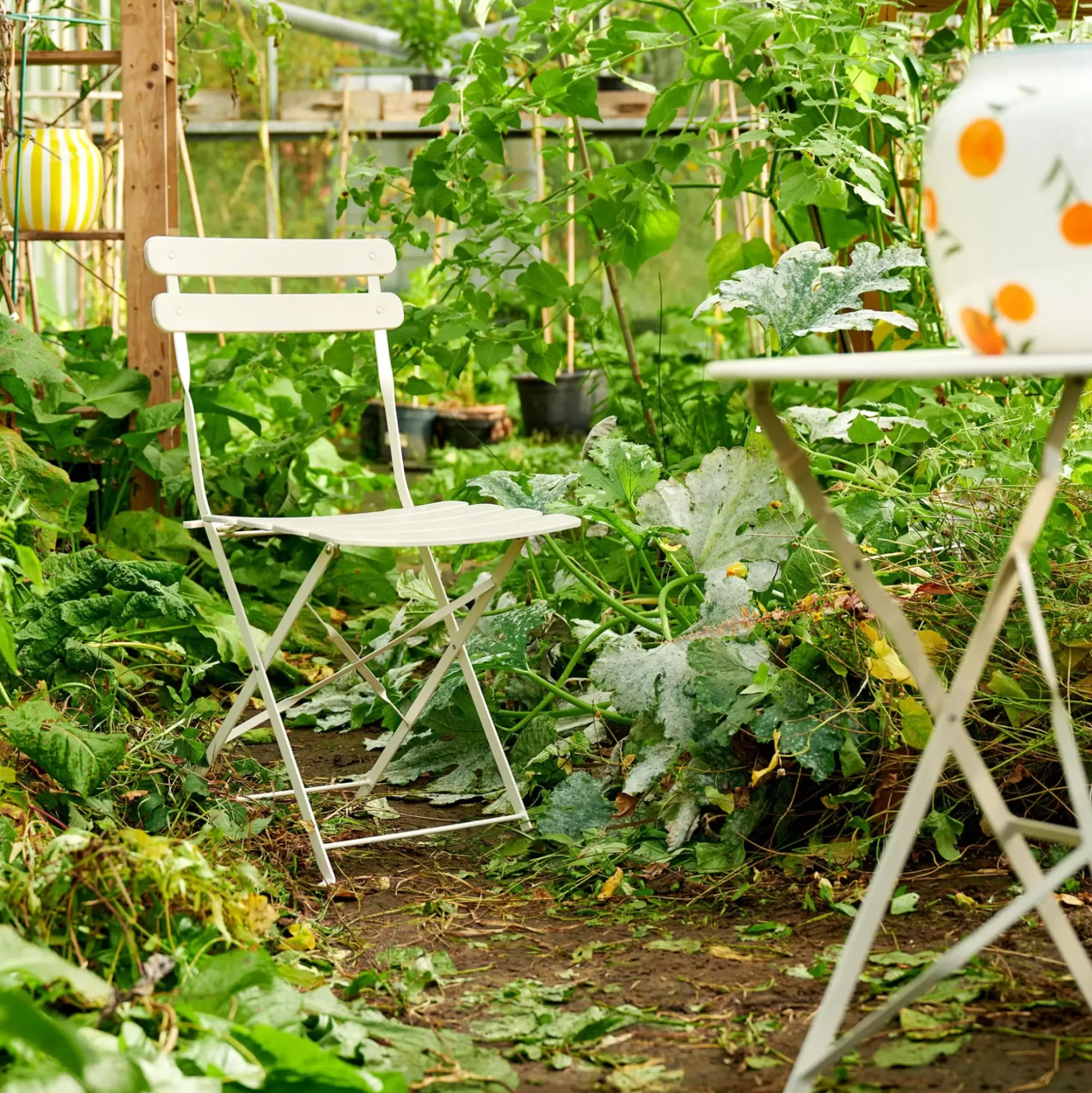 CASA Imperial Silla Plegable Arena Fashion