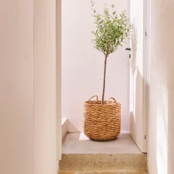 CASA Joni Cesta Natural Online