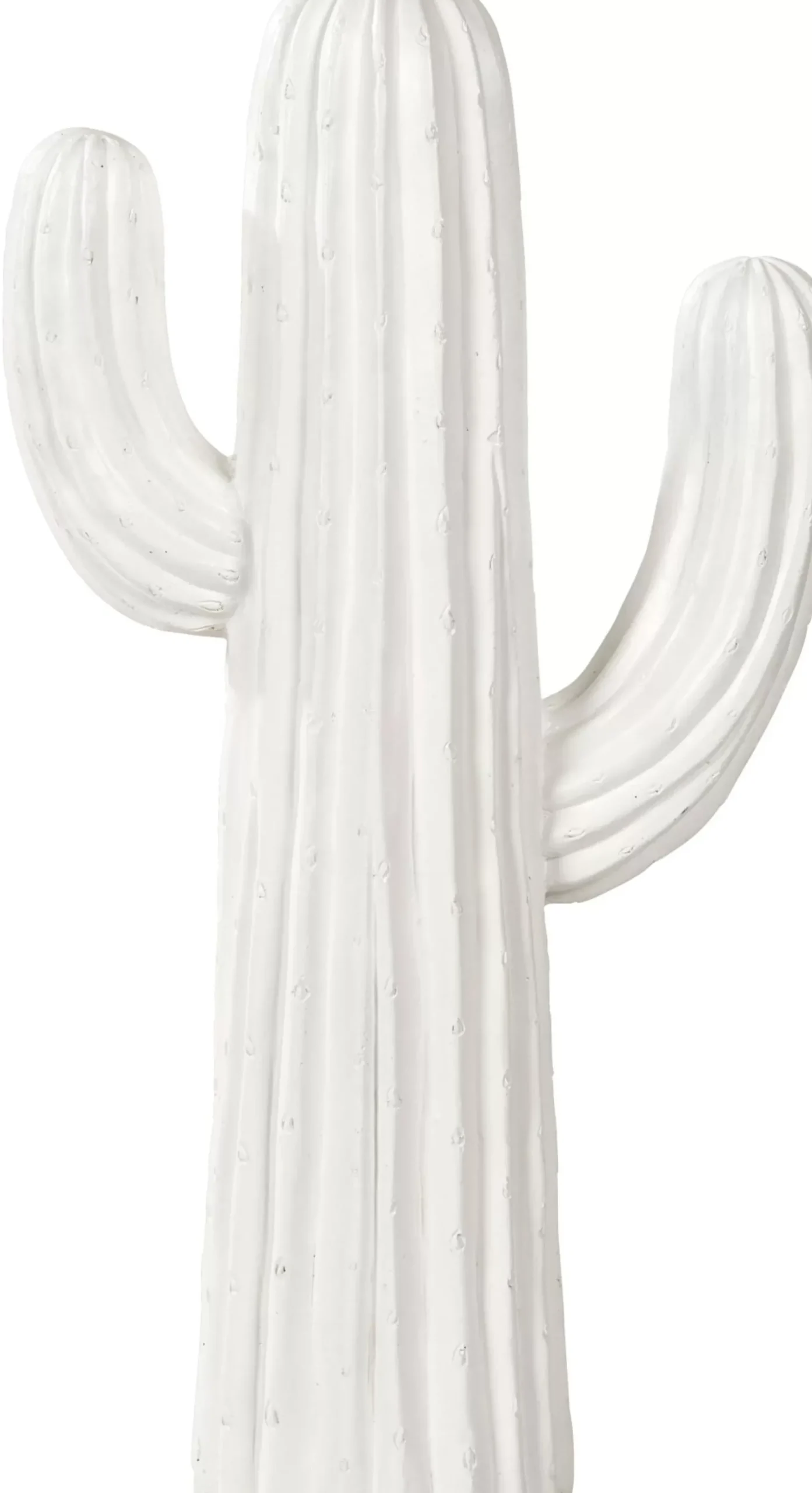 CASA Magnesia Cactus Blanco Hot