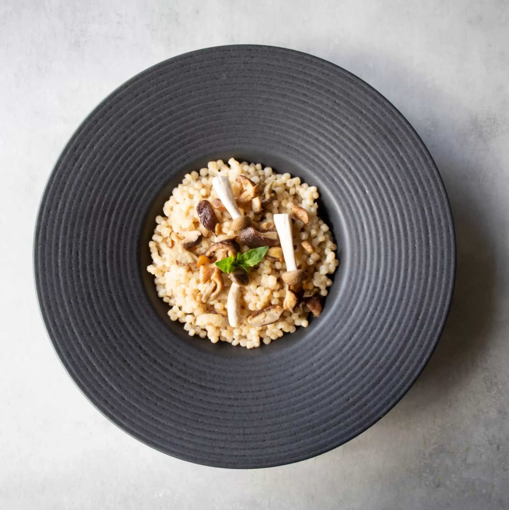 CASA Masterchef Plato Gourmet Negro Shop