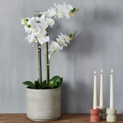 CASA Orchid Orquidea En Maceta Blanco Discount