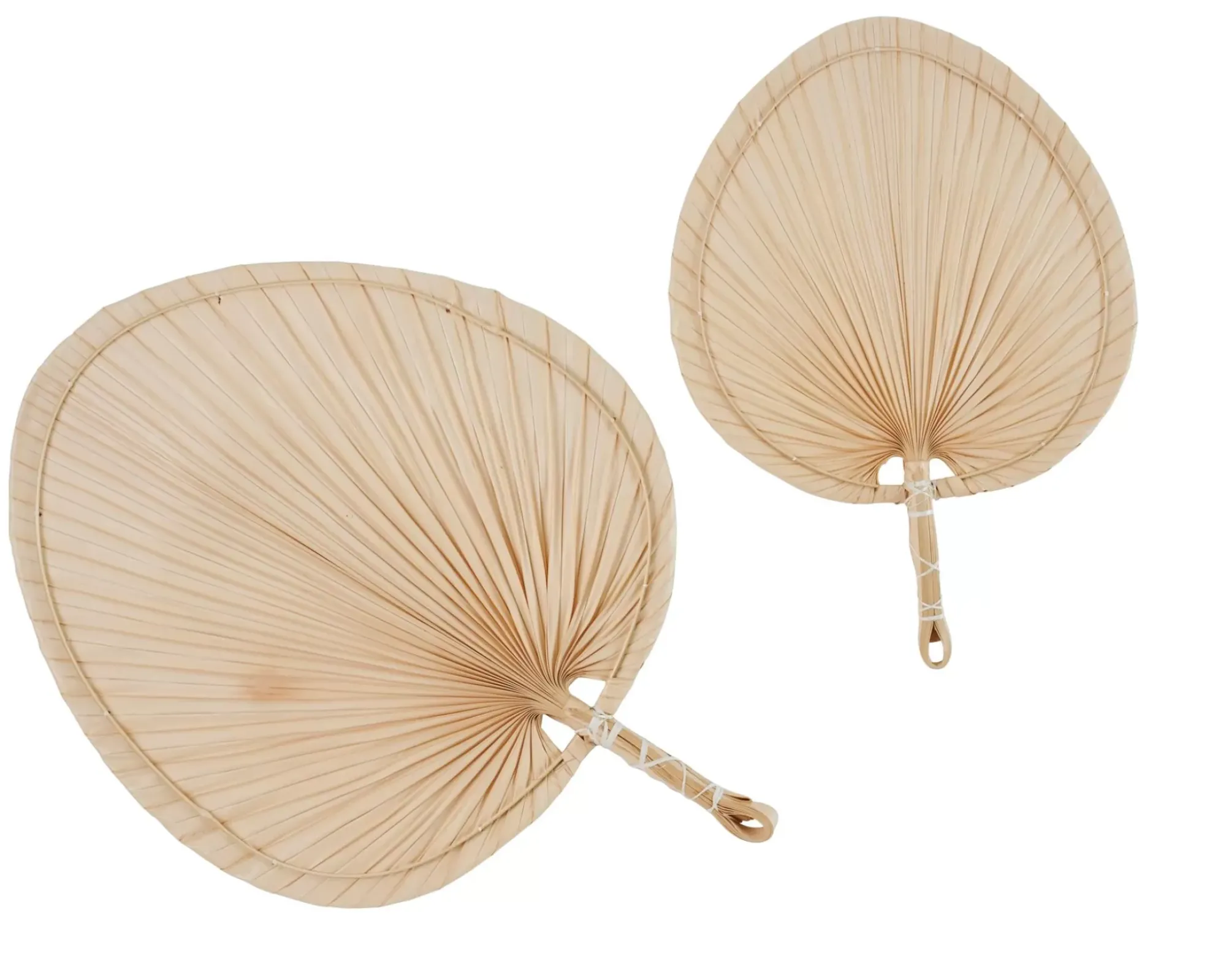 CASA Palmino Hoja De Palma Natural Store