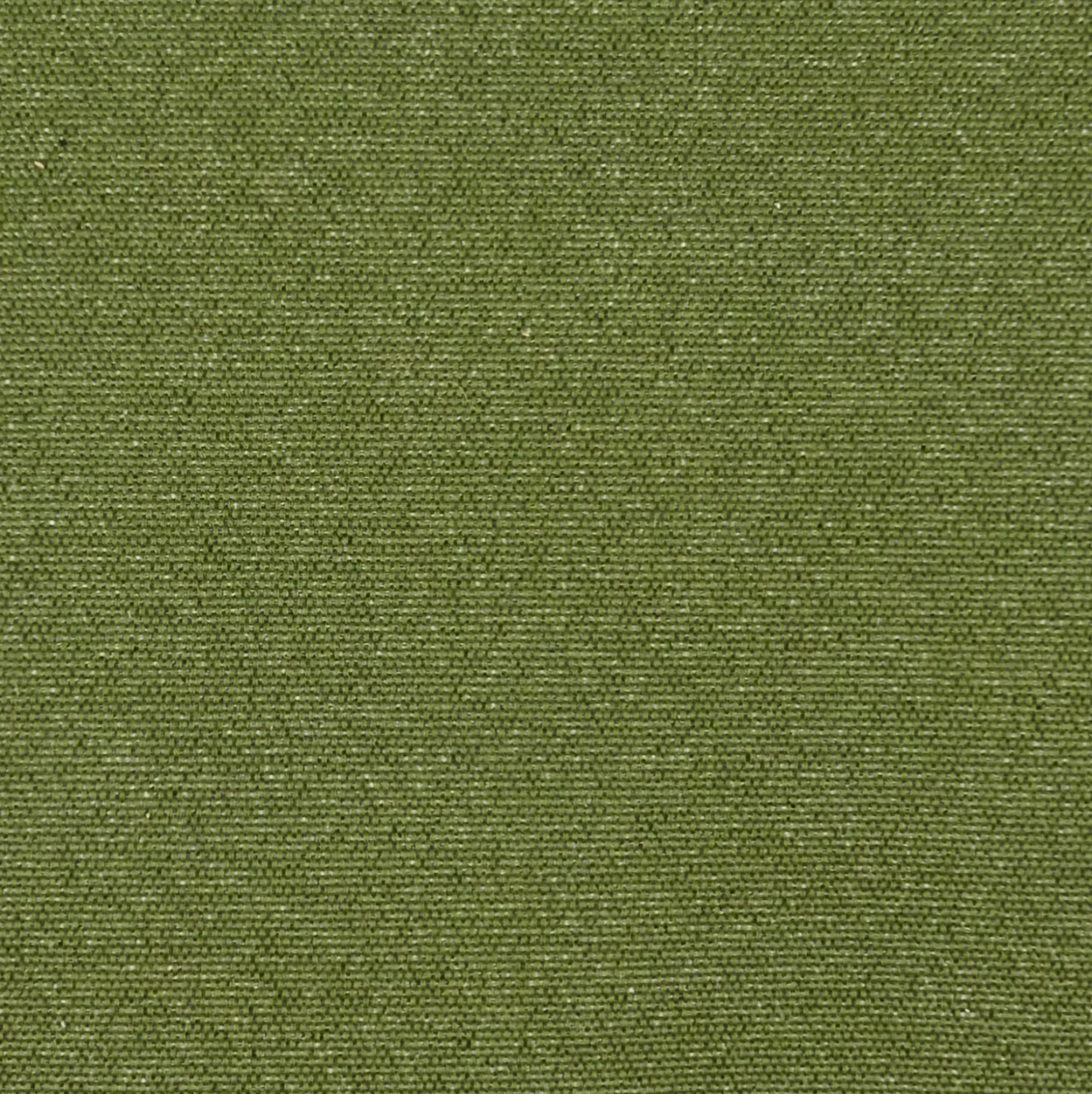 CASA Pauletta Luxe Verde Outlet