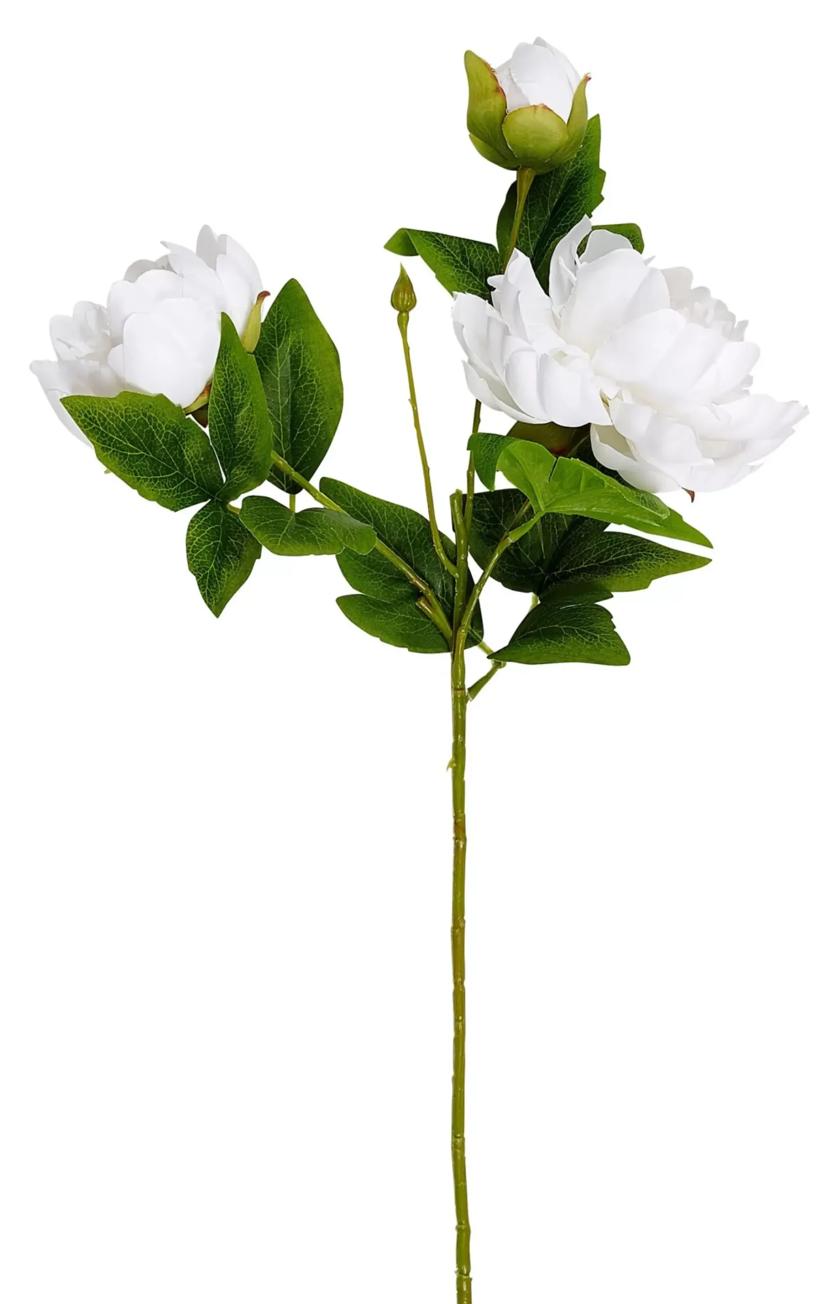 CASA Peony Rosa Peonia Blanco Best Sale