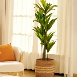 CASA Rayas Cesta M Natural Fashion