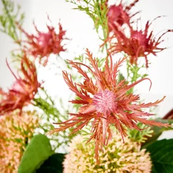 CASA Ruby Planta Artificial Rojo Clearance