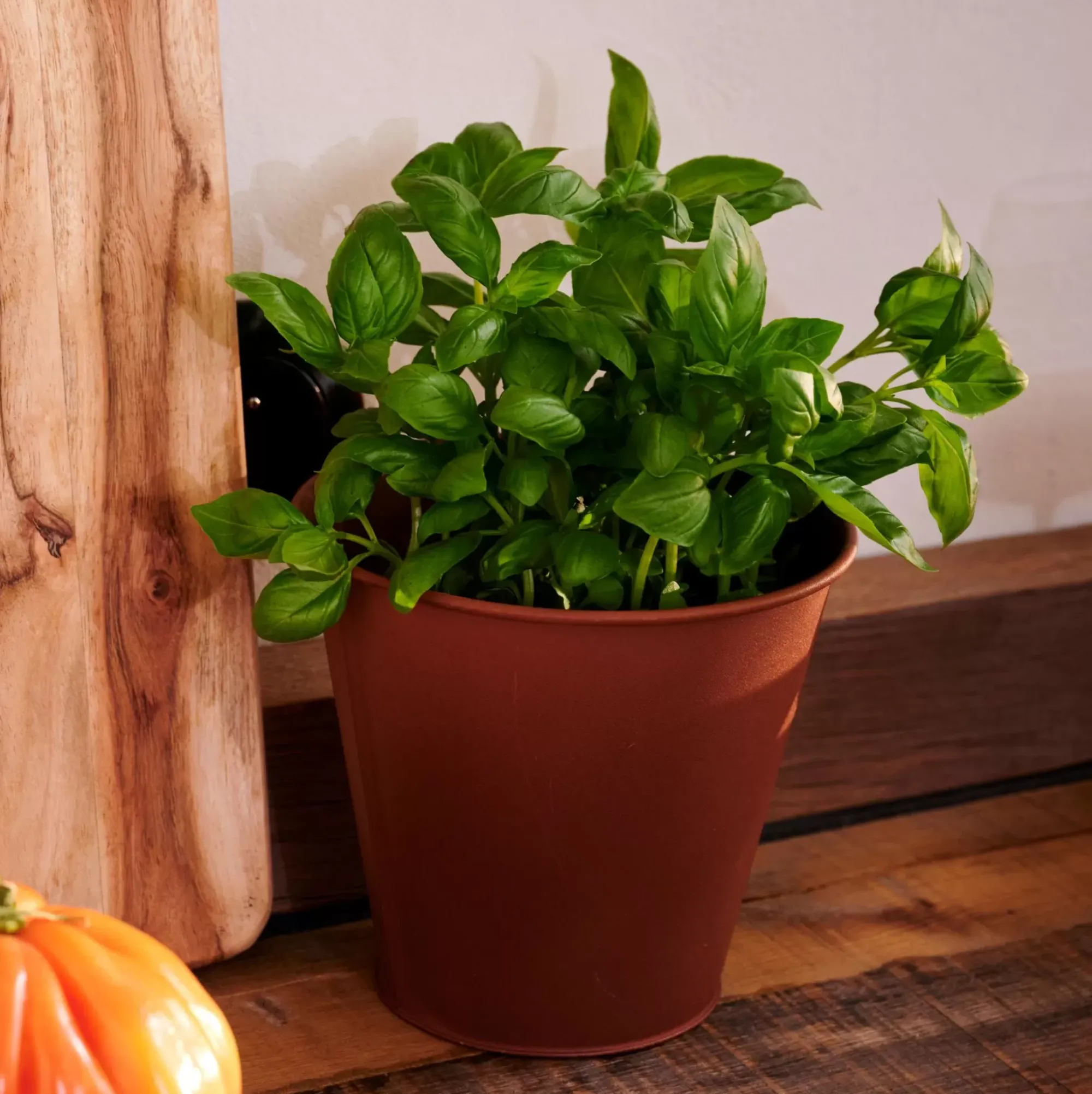 CASA Rusty Macetero Marron Fashion