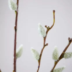 CASA Salica Rama Sintetico Verde Sale