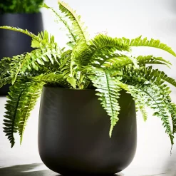 CASA Sense Macetero Negro Clearance