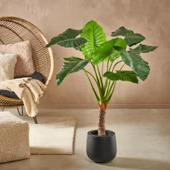 CASA Taro Planta Artificial Aro Verde Shop